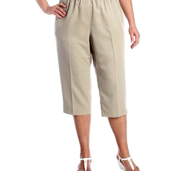 Kim Rogers Pull On Stretch Capri (NWT) - Picture 3 of 6